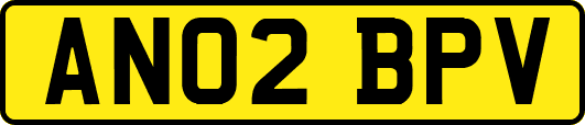 AN02BPV