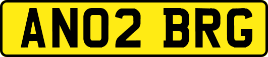 AN02BRG