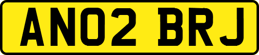 AN02BRJ