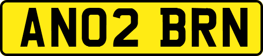 AN02BRN