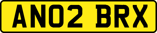 AN02BRX