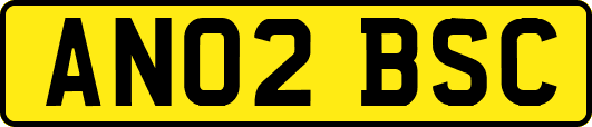 AN02BSC