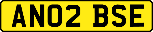 AN02BSE