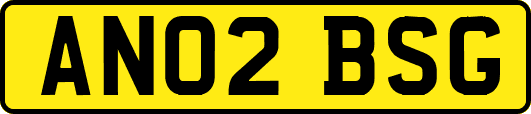 AN02BSG