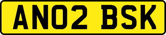 AN02BSK