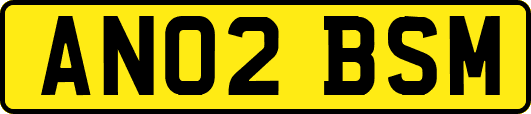 AN02BSM