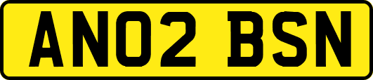 AN02BSN