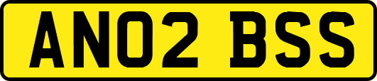 AN02BSS