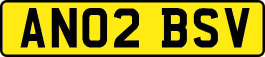 AN02BSV