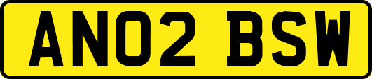 AN02BSW