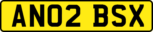 AN02BSX