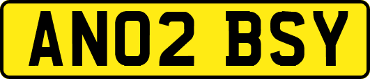 AN02BSY