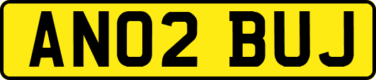 AN02BUJ