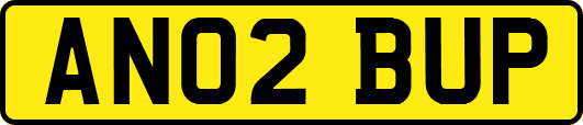 AN02BUP