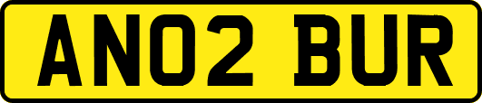 AN02BUR