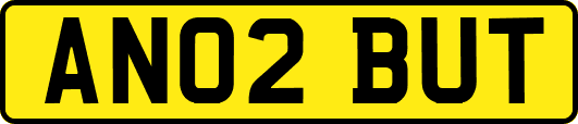 AN02BUT