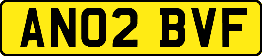 AN02BVF