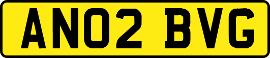 AN02BVG