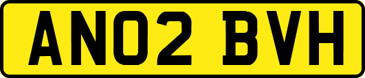AN02BVH