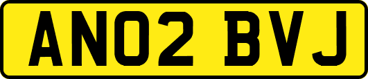 AN02BVJ