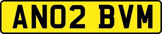 AN02BVM