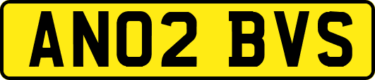 AN02BVS