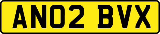 AN02BVX