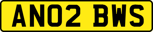 AN02BWS