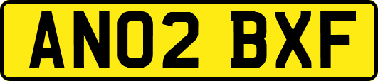 AN02BXF