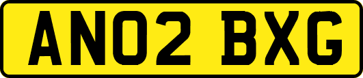 AN02BXG