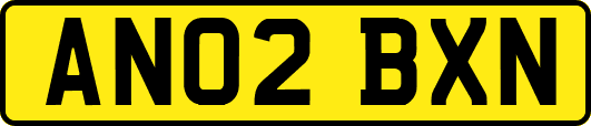 AN02BXN