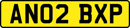 AN02BXP