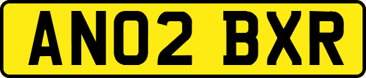 AN02BXR