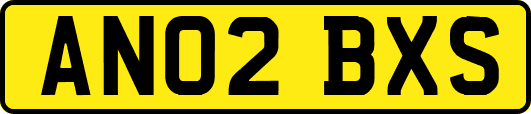 AN02BXS