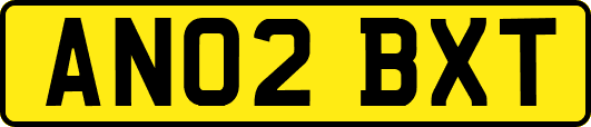 AN02BXT