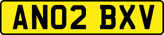 AN02BXV
