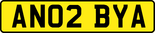 AN02BYA