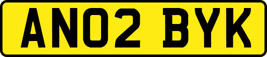 AN02BYK