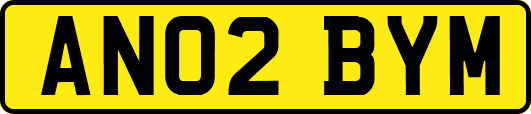 AN02BYM