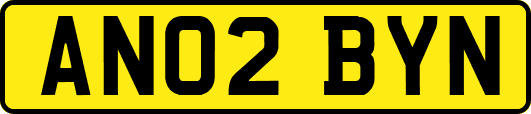 AN02BYN