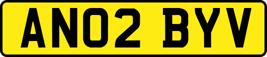 AN02BYV