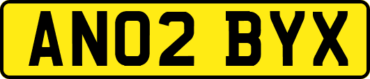 AN02BYX