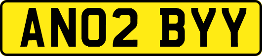 AN02BYY