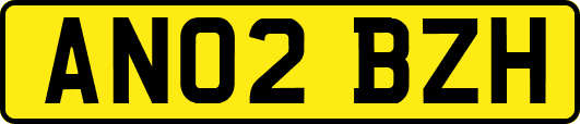 AN02BZH