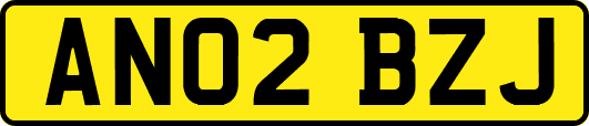 AN02BZJ