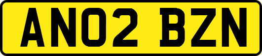 AN02BZN