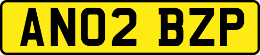 AN02BZP