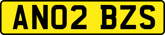 AN02BZS
