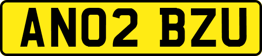 AN02BZU