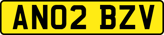 AN02BZV